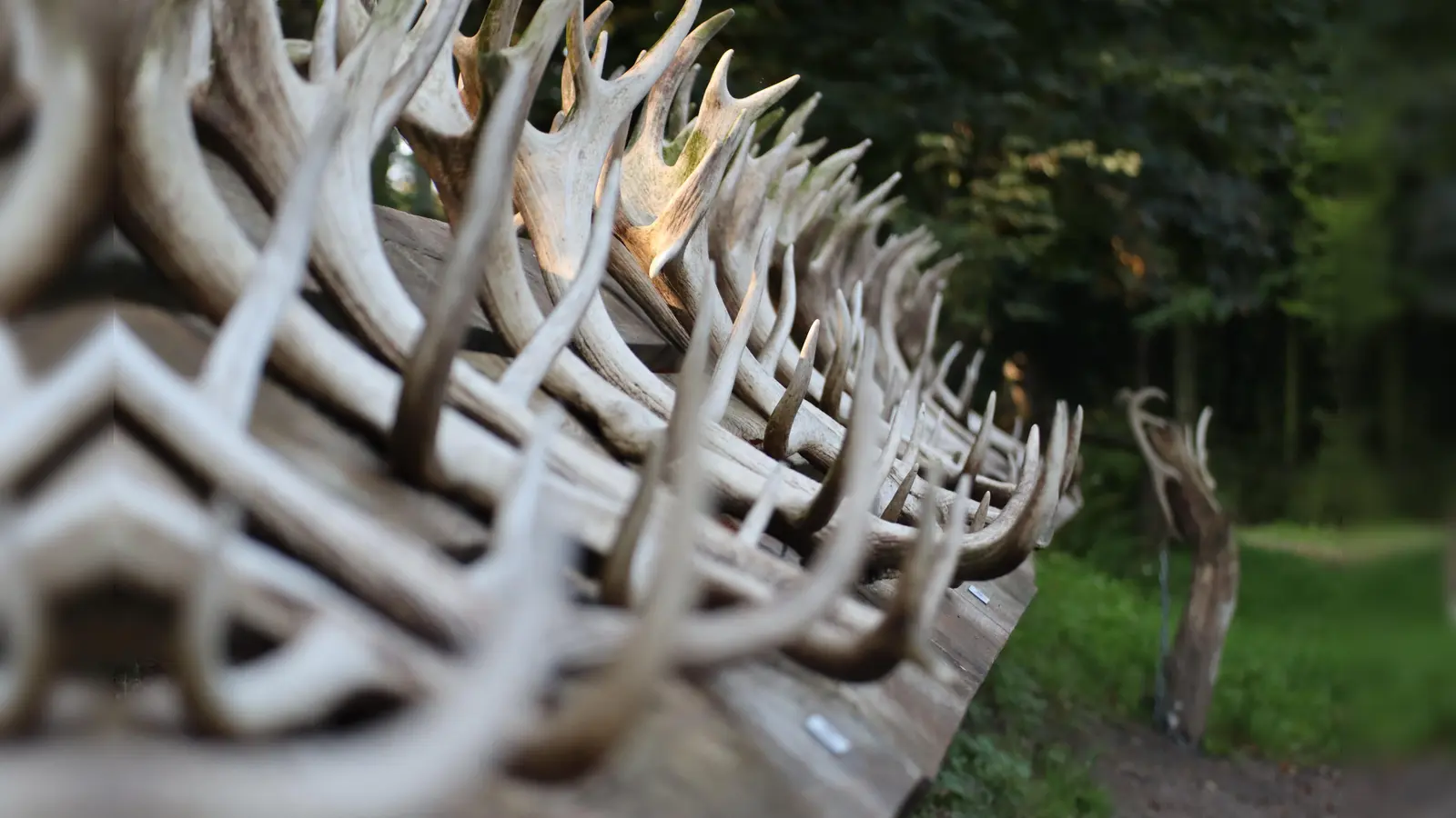 Stangensammlung (Foto: NLF – L. Tessmer)