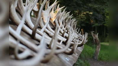 Stangensammlung (Foto: NLF – L. Tessmer)