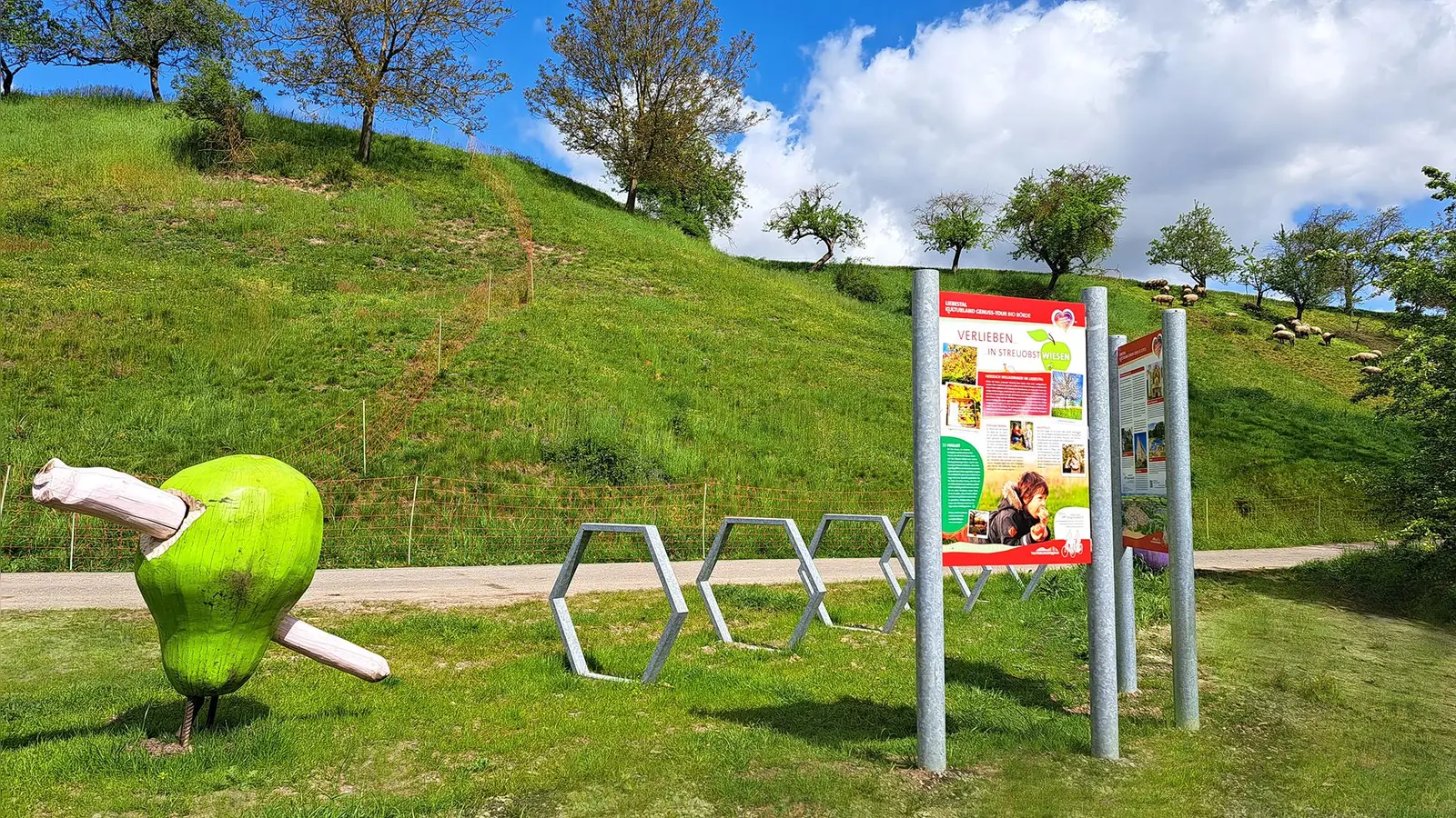 Blühende Streuobstwiesen sind nicht nur eine Augenweide, sondern dienen vielen Tieren und Pflanzen als wichtiger Lebensraum. Auch landesweit haben die zahlreichen Obstbestände im Kreis Höxter eine hohe Bedeutung. (Foto: Christiane Sasse)