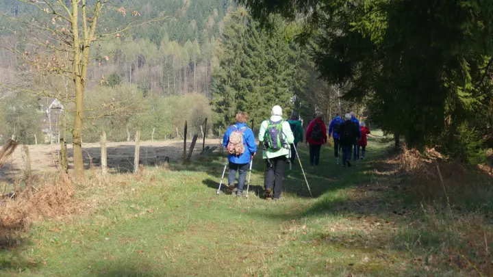 Wandertag im Solling. (Foto: Solling- und Heimatverein Silberborn)