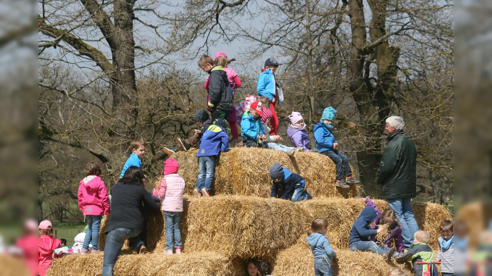 Frühlingsmarkt im Tierpark Sababurg. (Foto: Tierpark/S. Rödde)