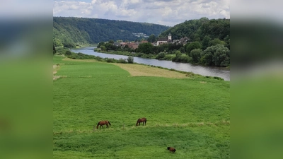 Die Weser bei Lüchtringen. (Foto: Touristik-Information Uslar/C. Filpe)