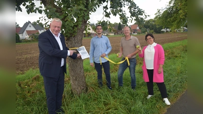 Wie hier entlang des Wellenweges in Albaxen werden zahlreiche Bäume markiert. (v.l.) Bürgermeister Daniel Hartmann, Auszubildender Leon Diedrich, Johannes Pamme (Leiter der Stadtgärtnerei) und Baudezernentin Claudia Koch. (Foto: Stadt Höxter)