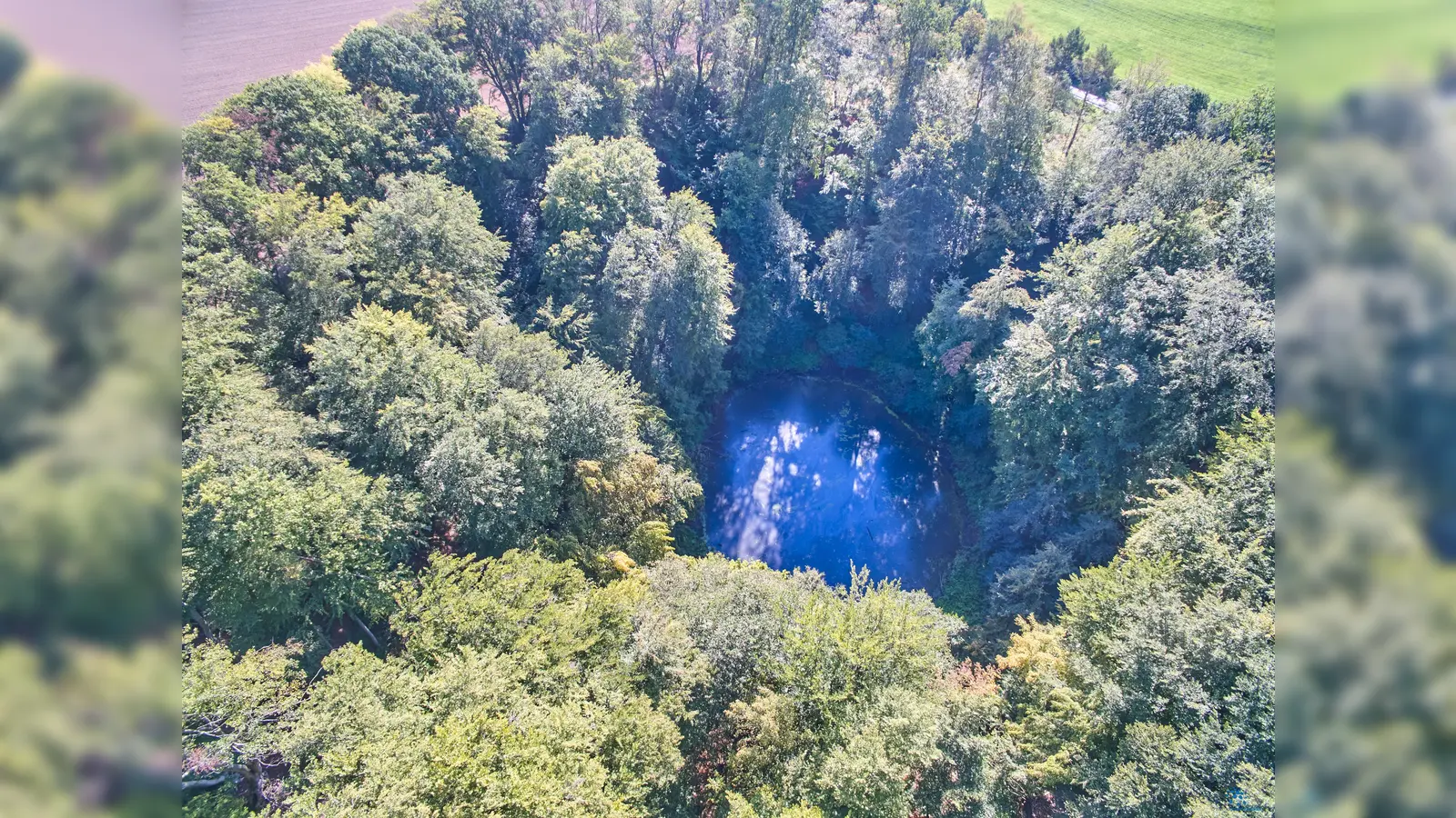 Blick in den rund 60 Meter tiefen Krater des „nassen Wolkenbruchs” bei Trendelburg. So wie bei seinem trockenen Pendant, nur wenige hundert Meter entfernt, handelt es sich hierbei um einen sogenannten Erdfall. (Foto: Stefan Bönning)