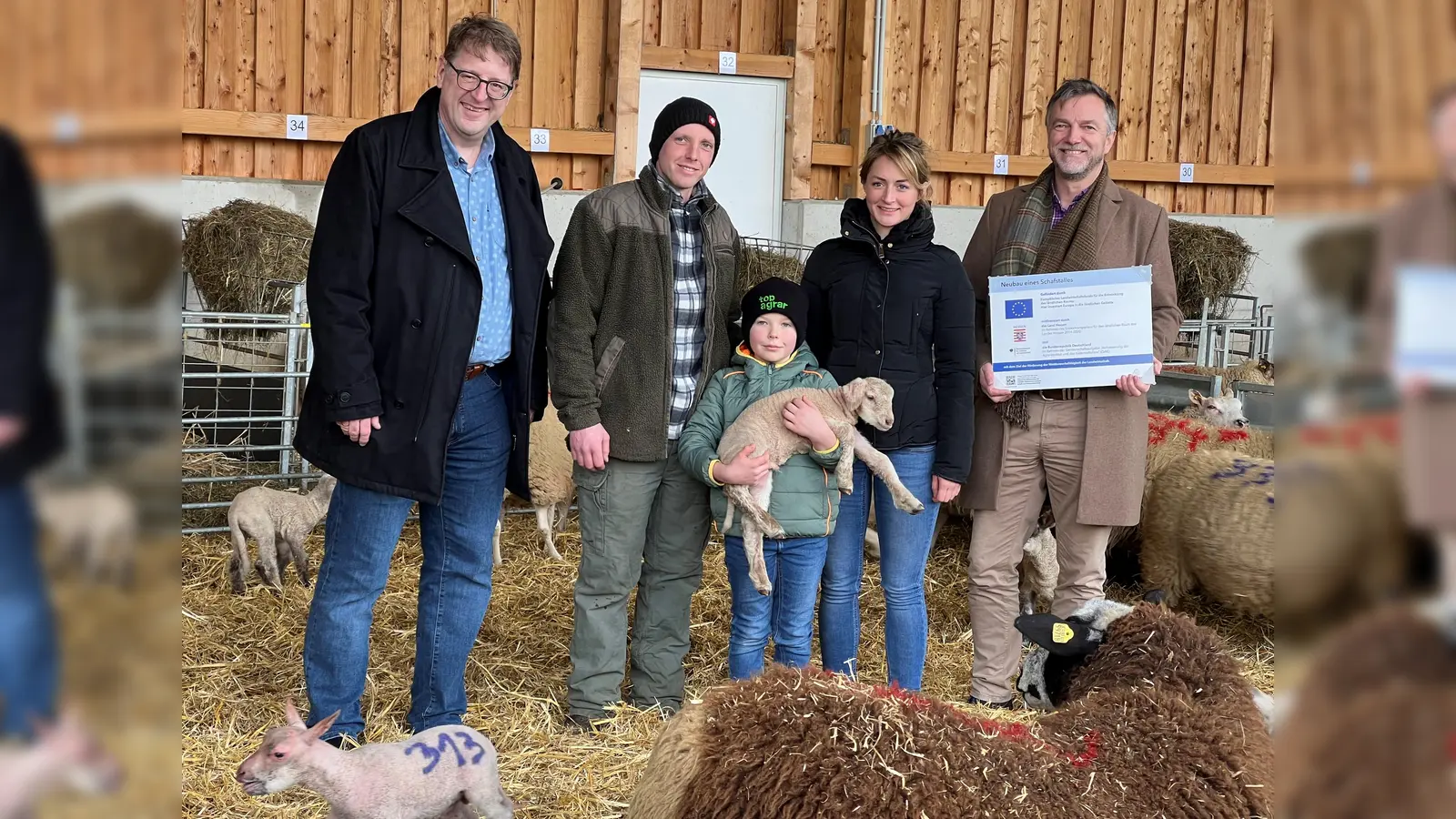 Hochbetrieb im Schafstall: Landwirtschaftsdezernent Thomas Ackermann (v.l.) mit Schäfer Jan Pöppler, Nils Pöppler, Alena Herrmann und Dietmar Friedrich, zuständig für die Agrarförderung im Landkreis Kassel.  (Foto: Landkreis Kassel)