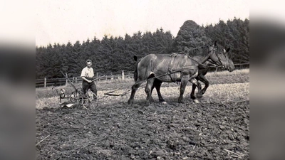 Pflügen eines Feldes auf althergebrachte Weise. (Foto: Stadt Nieheim)