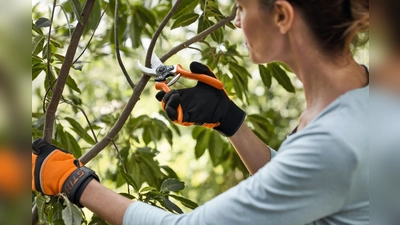 Eine Astschere eignet sich für filigranere Aufgaben. (Foto: DJD/STIHL)