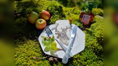 Kulinarisch auf den Spuren des wilden Jägers Hackelberg wandern, über das Handwerk der Köhler erfahren und die unverwechselbare Natur des Hochsollings erkunden. (Foto: privat)