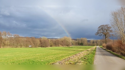 Regenbogen in der Nähe von Reelsen. (Foto: M. Bange)