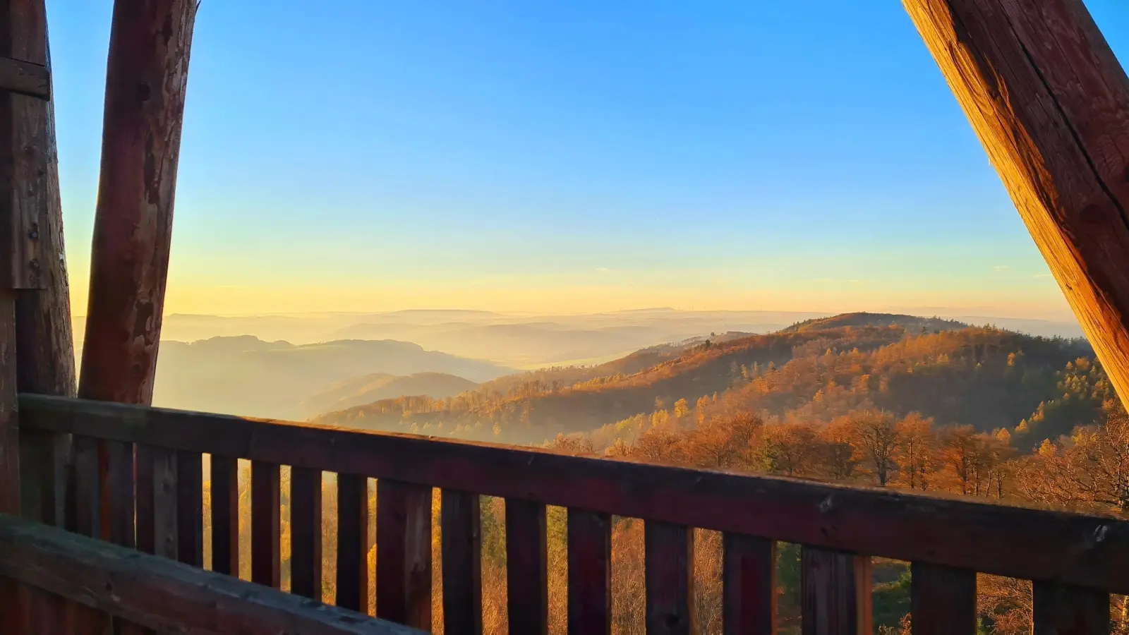 Von der 26 Meter hohen Plattform des Ebersnacken-Turms eröffnet sich ein spektakulärer Panoramablick über die waldreiche Solling-Vogler-Region. (Foto: 2022_Wilder_Vogler_Go1_SVR_Cornelia Holz_7359977_27)