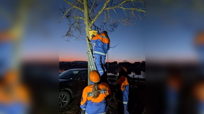 Die Nisthilfen wurden gleich angebracht.  (Foto:  Annette Knipping)