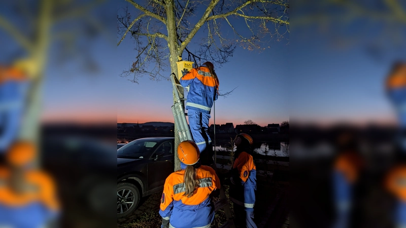 Die Nisthilfen wurden gleich angebracht.  (Foto:  Annette Knipping)