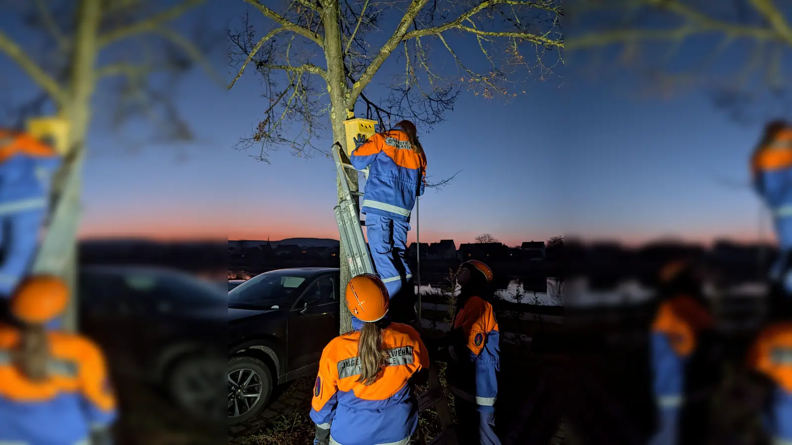 Die Nisthilfen wurden gleich angebracht.  (Foto:  Annette Knipping)