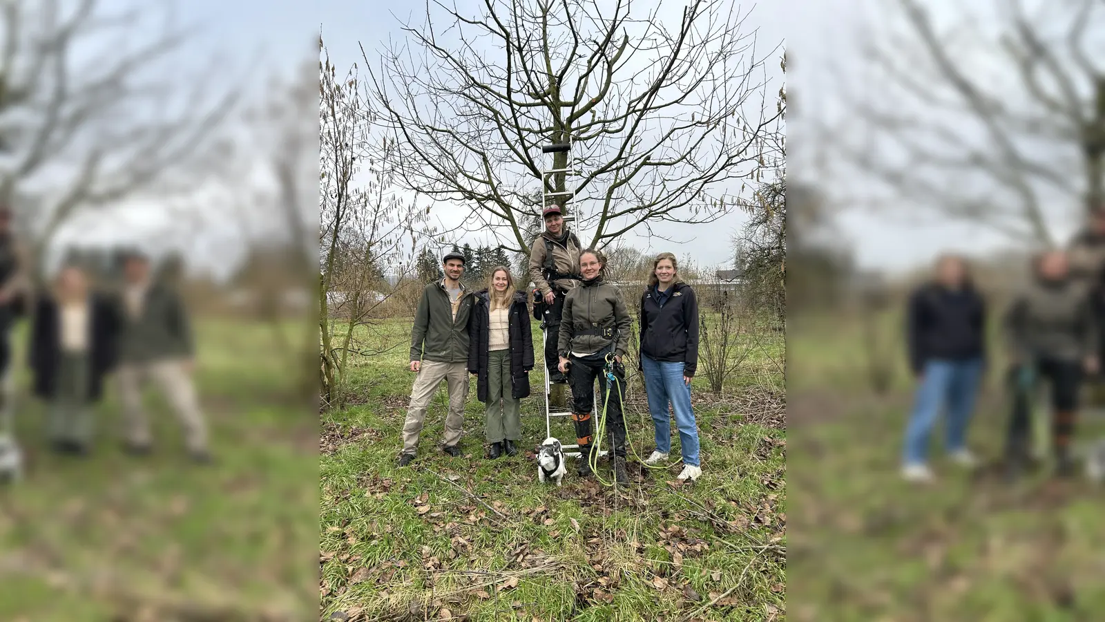 Julia Franzmann von BeSte Stadtwerke, Jasper de Wit und Anna Lammert (beide Helle Hof) und Denise Mogge auf der Leiter sowie Elisa Härtlein (beide Obstbaumwerk Höxter). (Foto: privat)