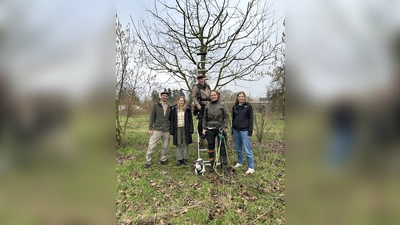 Julia Franzmann von BeSte Stadtwerke, Jasper de Wit und Anna Lammert (beide Helle Hof) und Denise Mogge auf der Leiter sowie Elisa Härtlein (beide Obstbaumwerk Höxter). (Foto: privat)