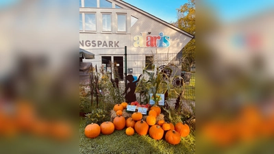 Kürbisse vor dem Schmetterlingspark. (Foto: alaris Schmetterlingspark - Das Haus der Schmetterlinge)