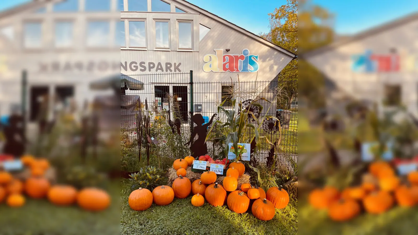 Kürbisse vor dem Schmetterlingspark. (Foto: alaris Schmetterlingspark - Das Haus der Schmetterlinge)