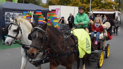 Ein Highlight: Die Pony-Kutsche lädt auf dem Herbstfest zu Rundfahrten ein. (Foto: Marc Otto)