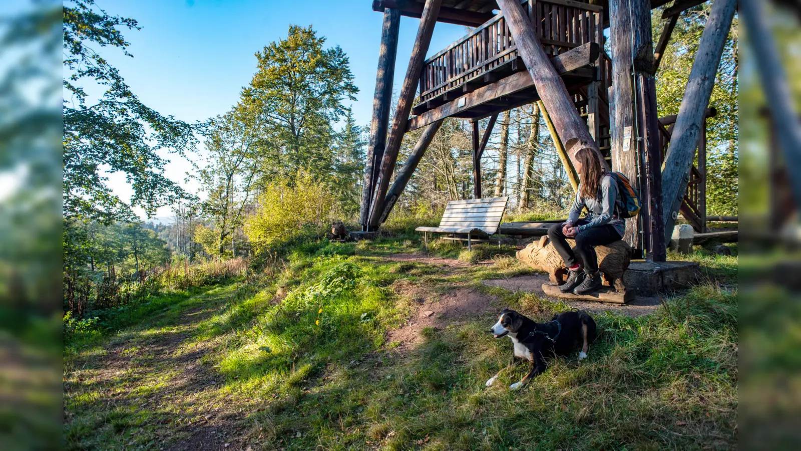 Der Ki1-Rundweg begeistert mit wildromantischer Natur, gepflegten Pfaden und dem einzigartigen Blick vom Ebersnackenturm – ein würdiger Kandidat unter Deutschlands schönsten Wanderwegen. (Foto: SVR_www.mitzkat.de)