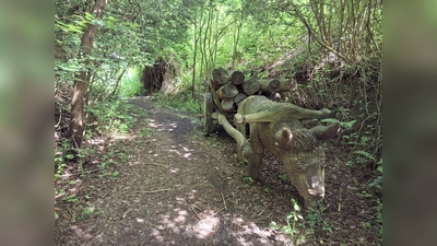 Begegnung mit der Geschichte im Hohlweg. (Foto: Marc Otto)