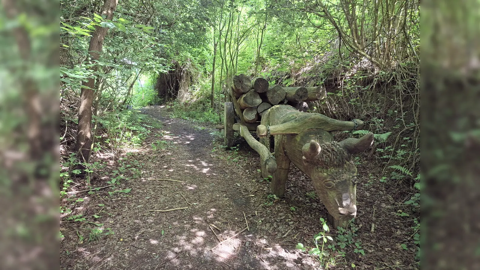 Begegnung mit der Geschichte im Hohlweg. (Foto: Marc Otto)
