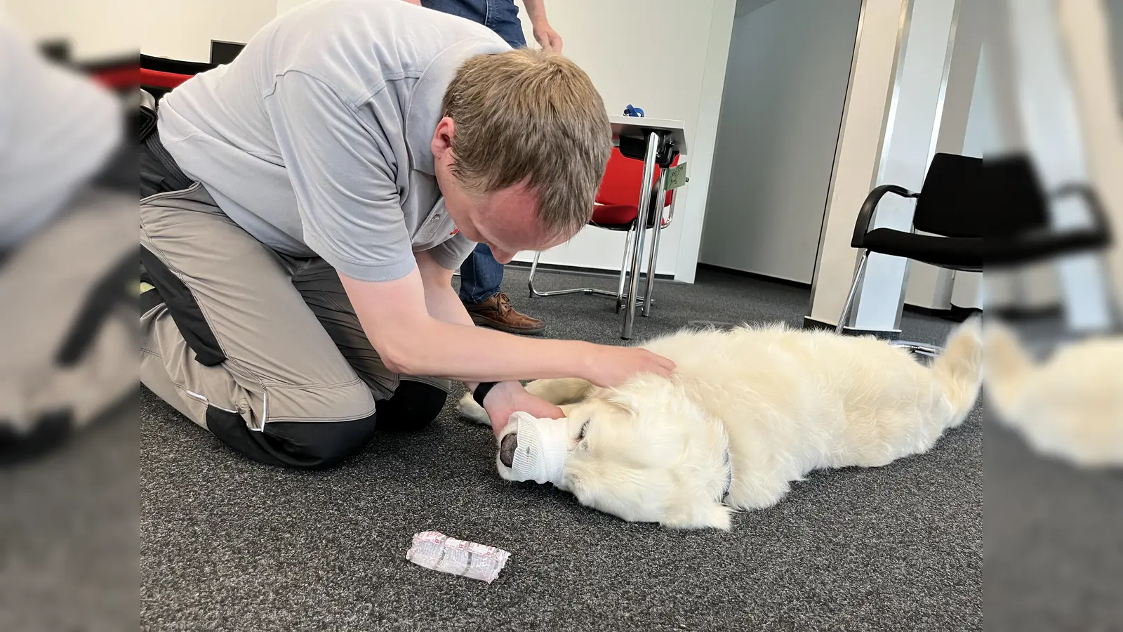 Hilfe für den Vierbeiner: Im Kurs der Johanniter lernen die Teilnehmenden, wie sie ihrem tierischen Gefährten in Notsituationen kompetent helfen können. (Foto: Johanniter)