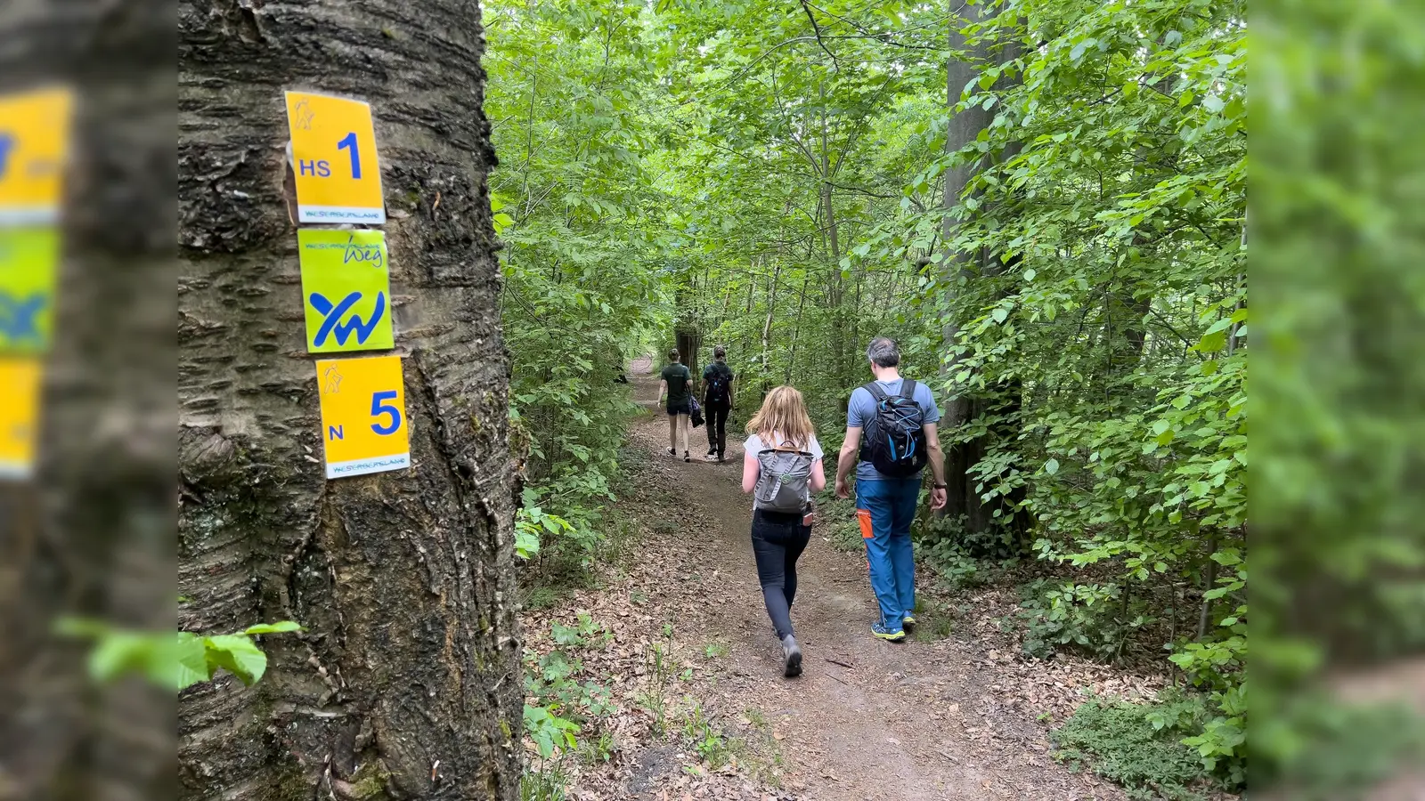 Wandertour 2022. (Foto: Touristik-Information Neuhaus/Silberborn)