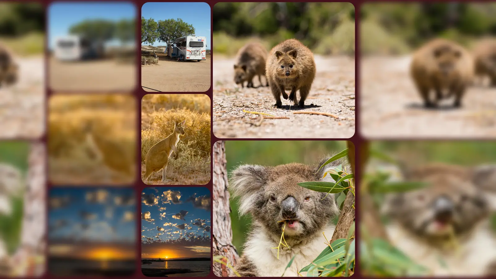 . (Foto: Marcus Wilcke)