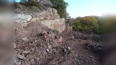 Der Steinbruch nach der Freistellung. (Foto: Landschaftspflegeverband LK Kassel )