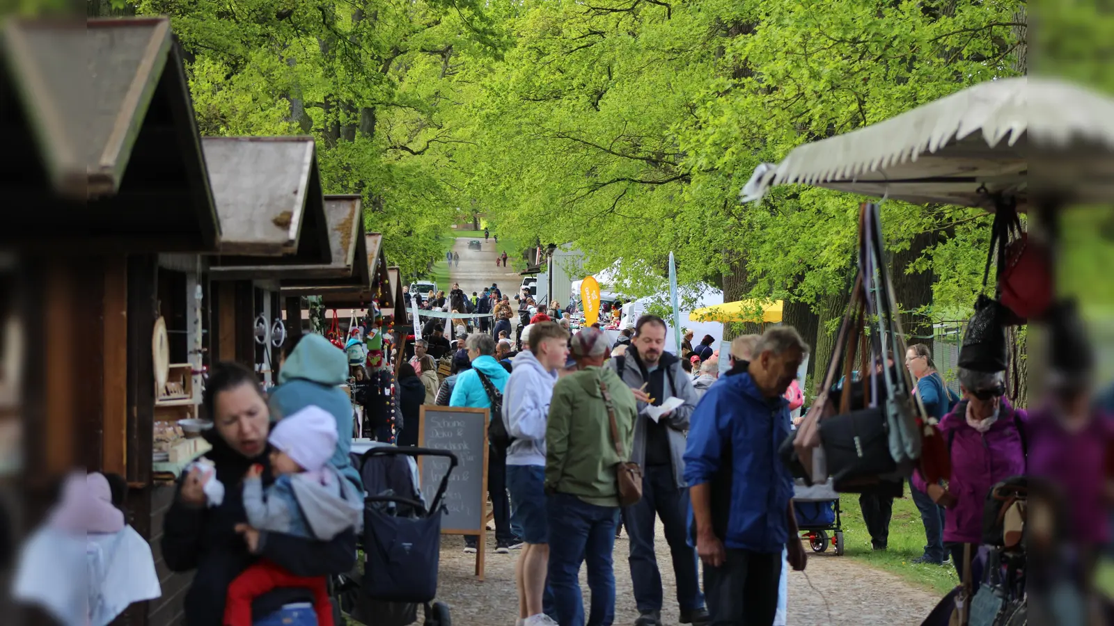 Frühlingsmarkt im Tierpark Sababurg (Foto: Julia Sürder)