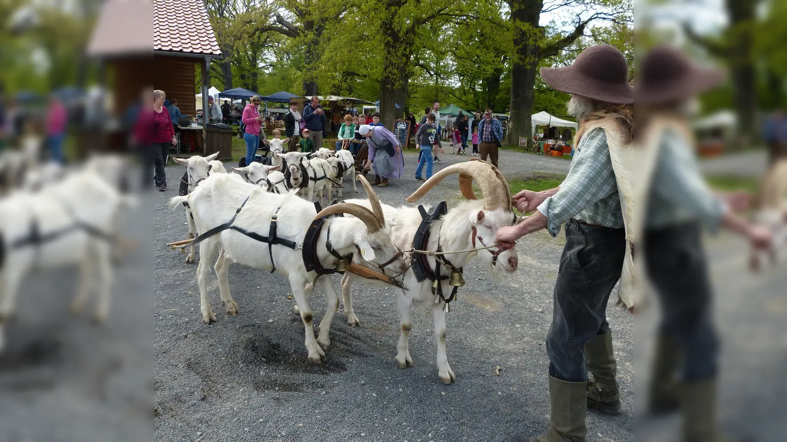 Frühlingsmarkt im Tierpark Sababurg. (Foto: Tierpark/Renate Hofmann)