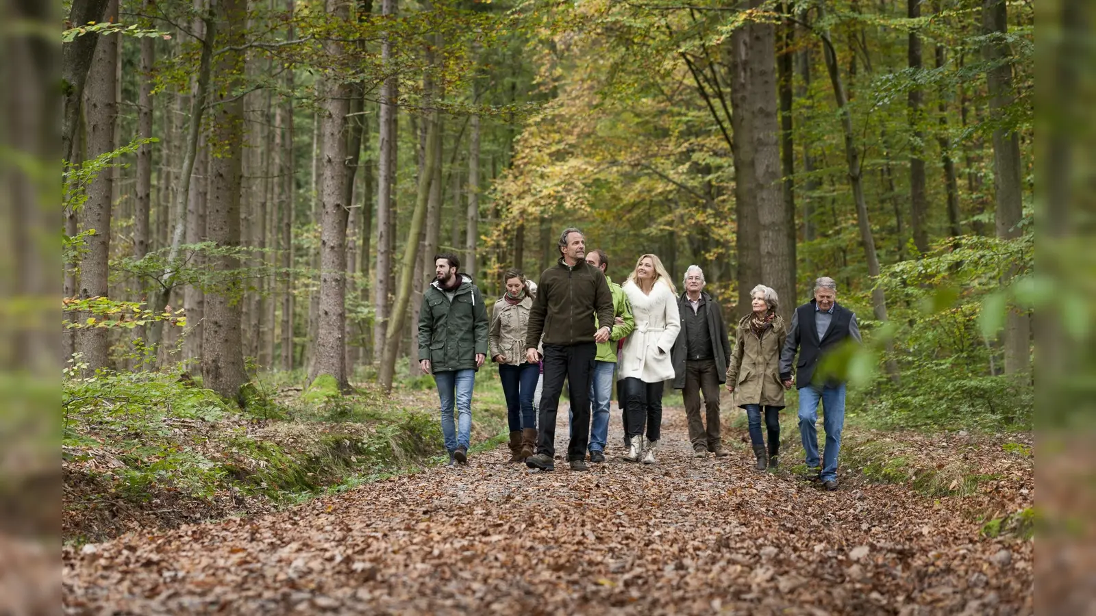 Waldführung im FriedWald. (Foto: FriedWald GmbH)