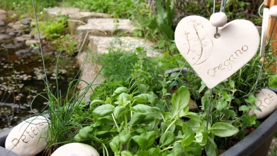 Grünes und Schönes für den Garten gibt es wieder beim Borgentreicher Pflanzenflohmarkt zu entdecken. (Foto: Bürgerinitiative Lebenswertes Bördeland und Diemeltal)