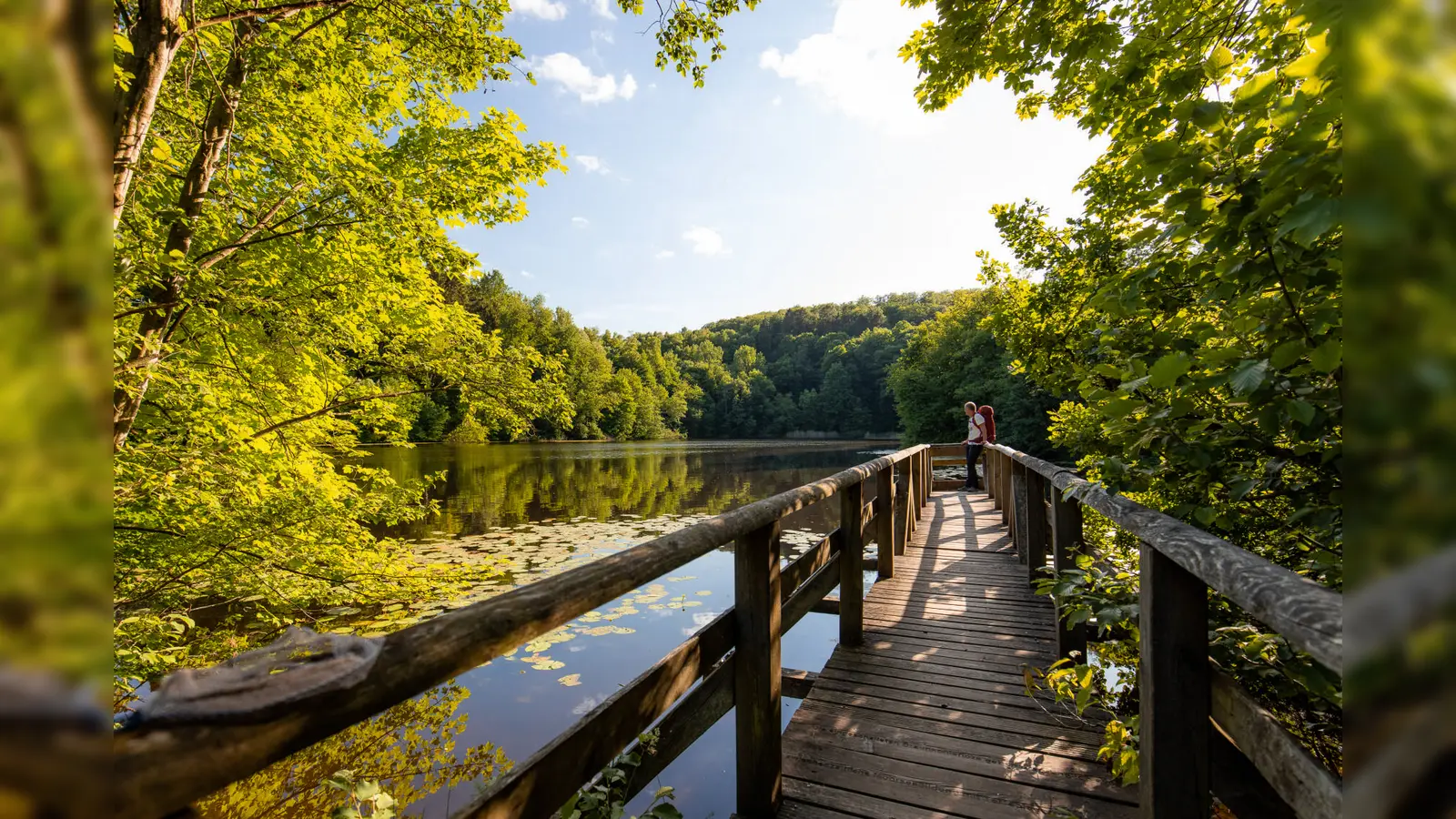 Der Bergsee Delliehausen – ein stiller Rückzugsort am Qualitätsweg „Waldläufer“, umgeben von dichter Waldkulisse und ideal für eine kurze Auszeit. (Foto: SVR / KoernerPaeslack)