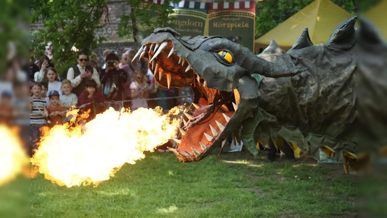 Der letzte lebende Drache der Welt „Fangdorn“ wird beim Anno 1250 im Archäologiepark Höxter erwartet. (Foto: Anno Events)