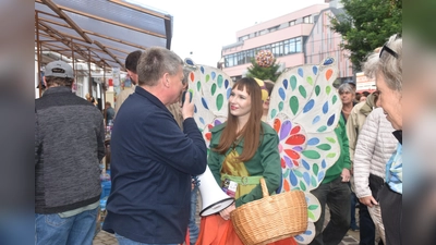 Zu Huxori war es 2024 in Höxters Innenstadt bunt, laut und herrlich, das genoss auch Holli.  (Foto: Barbara Siebrecht)